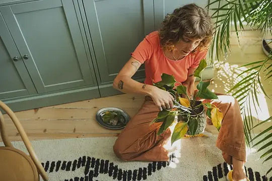 Urban gardening: Cum sa transformi spatiile mici in gradini verzi